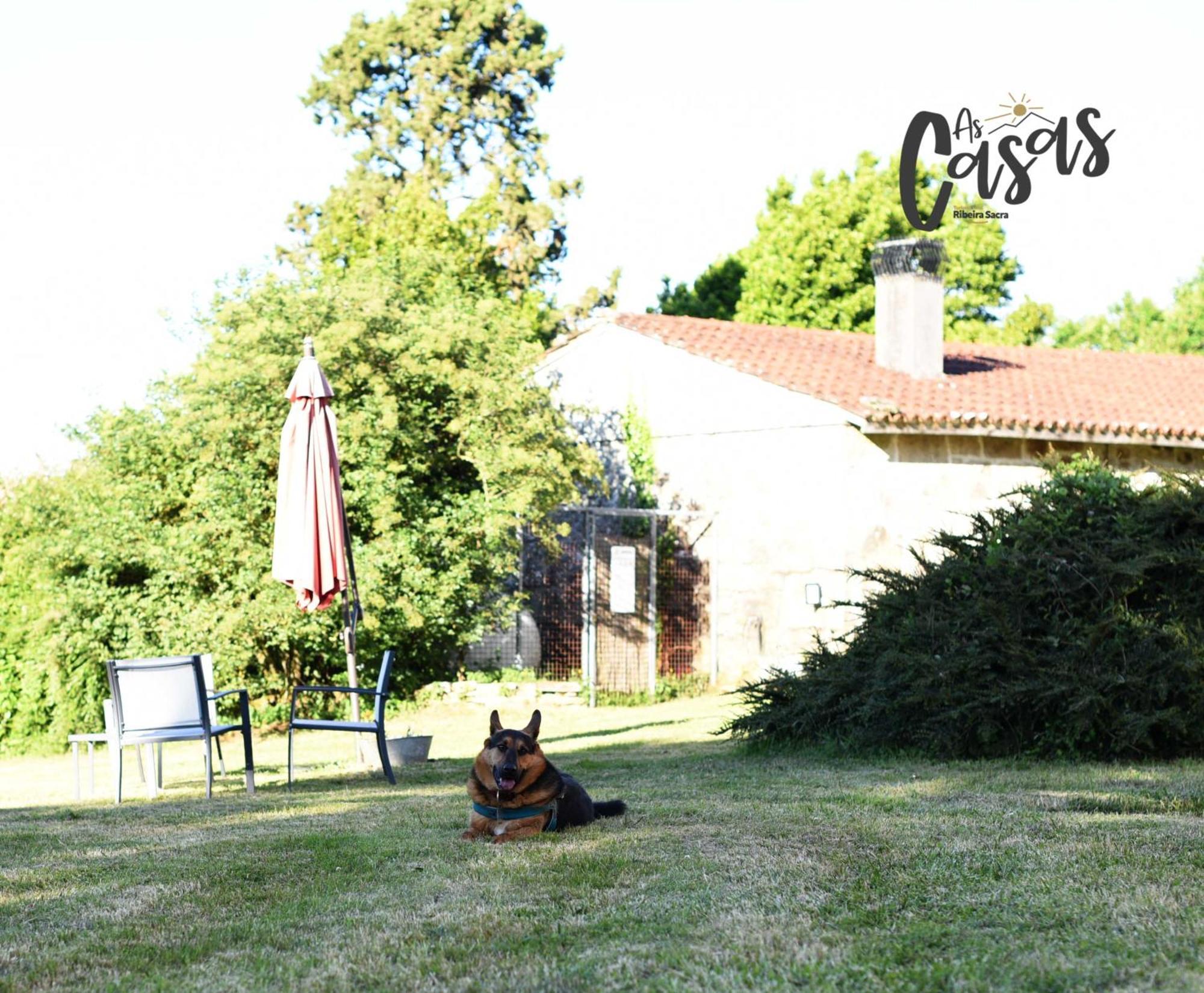As Casas Ribeira Sacra Hotel Chantada Eksteriør billede