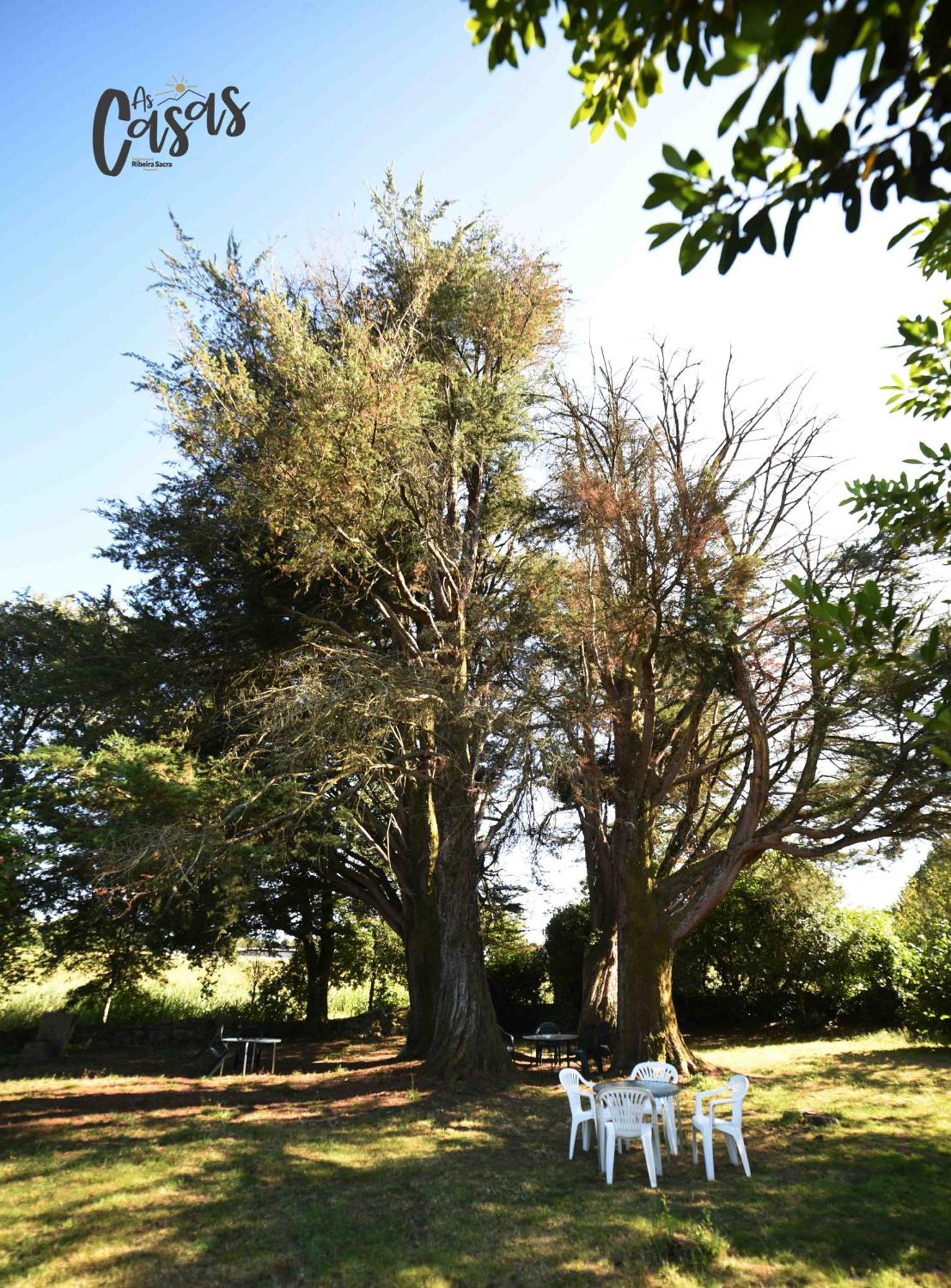 As Casas Ribeira Sacra Hotel Chantada Eksteriør billede